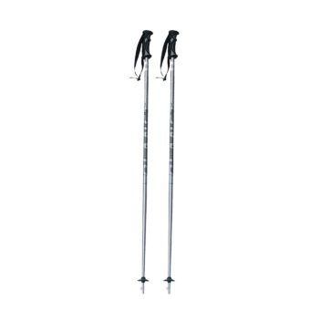 alpina-master ski poles